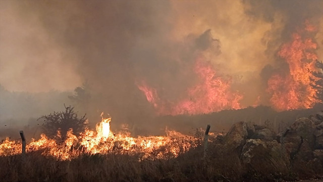 Antalya, Muğla'da ve Adana'da ormanlar yanıyor! Mahalle boşaltıldı araç giriş çıkışı yasaklandı - Resim: 2