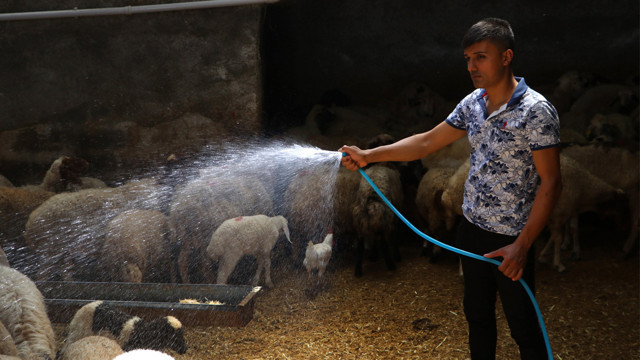 Adana sıcaktan kavruluyor! Termometreler 52 dereceyi gösterdi - Resim: 1