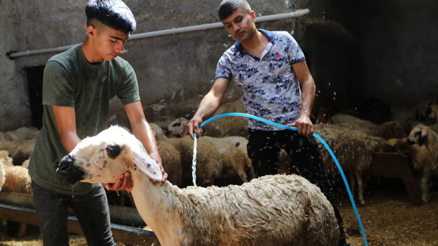 Adana sıcaktan kavruluyor! Termometreler 52 dereceyi gösterdi - Resim: 2