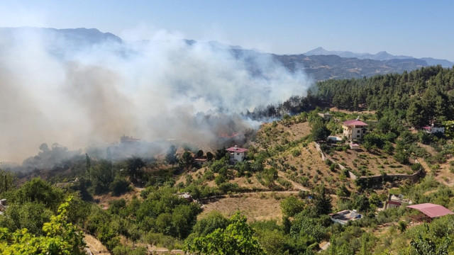 Kahramanmaraş'ta korkutan orman yangını! Rüzgarın etkisiyle yayıldı, alevler evlere sıçradı! - Resim: 0