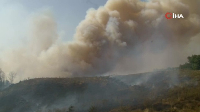 Beykoz'da ormanlık alanda yangın! Yoğun dumanlar gökyüzünü kapladı - Resim: 2