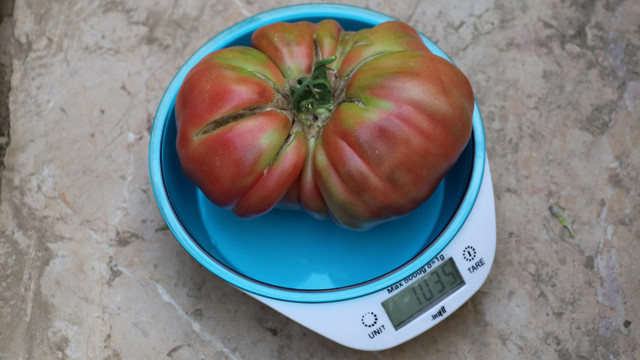 Kimsenin kullanmadığı tohumları kullandı, aldığı sonuç hayrete düşürdü - Resim: 1