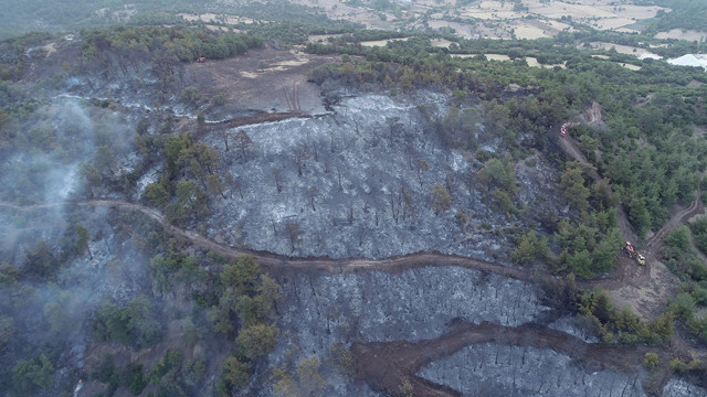 Orman yangınları sürüyor! Üç mahalle boşaltıldı... Çanakkale, İzmir, Antalya ve İstanbul... - Resim: 0