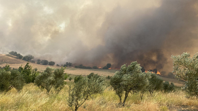 52 saat sürdü! Çanakkale'deki orman yangınlarında kaç hektar alan yandı? Hasar tespit çalışması tamamlandı - Resim: 1