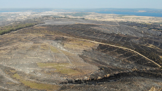 52 saat sürdü! Çanakkale'deki orman yangınlarında kaç hektar alan yandı? Hasar tespit çalışması tamamlandı - Resim: 2