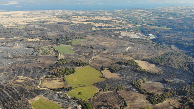 52 saat sürdü! Çanakkale'deki orman yangınlarında kaç hektar alan yandı? Hasar tespit çalışması tamamlandı - Resim: 0