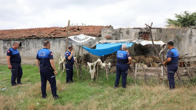 Samsun'da atık uyarısını dinlemeyen 12 ahırın faaliyetine son verildi - Resim: 0