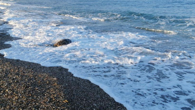 Caretta Caretta koruma kafesini yana kaydırıp üzerinde mangal yaktılar! - Resim: 2