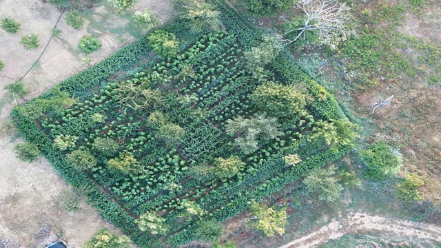 İzmir'de dron destekli uyuşturucu operasyonu! 24 şüpheli gözaltına alındı. - Resim: 0
