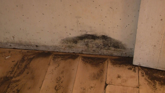 Bu suyun kaynağı herkesi ürküttü! Arnavutköy'de duvardan 2 aydır su akıyor - Resim: 2