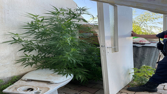 Kırıkkale'de uyuşturucu operasyonu! Çok sayıda uyuşturucu madde ele geçirildi - Resim: 1