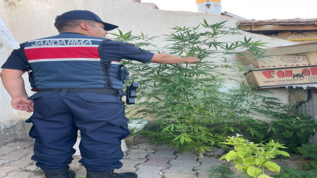 Kırıkkale'de uyuşturucu operasyonu! Çok sayıda uyuşturucu madde ele geçirildi - Resim: 2