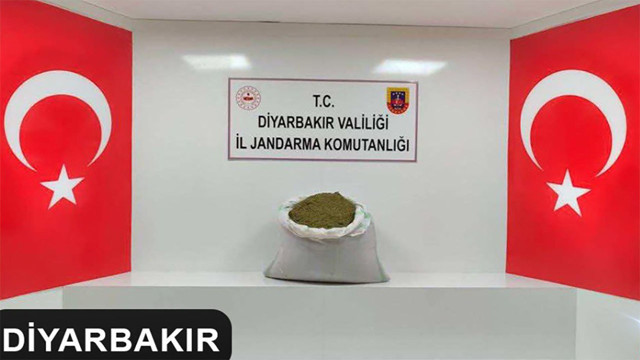 Diyarbakır'da narko-terör operasyonu! 2 milyon 425 bin kök kenevir ve skunk bitkisi ele geçirildi - Resim: 0