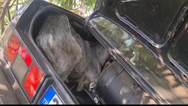 İzmir'de acı kaza! Şarampole yuvarlanan araçta 2 kişi hayatını kaybetti - Resim: 0