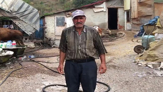 Yemden tasarruf etmek isterken hayvanlarından oldu! Küflenmiş kuru ekmek yiyen inekler çatlayıp telef oldu - Resim: 1