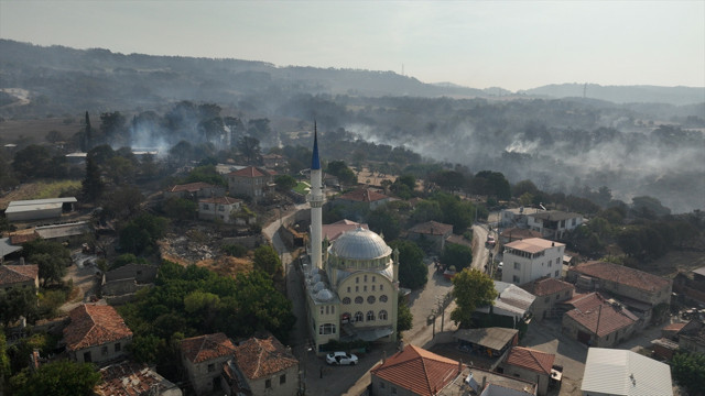 Çanakkale'de orman yangının çıkış nedeni belli oldu! Çanakkale'de bu kez tarihi yarımada tutuştu - Resim: 0