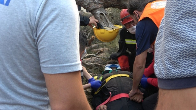 Orman yangınına müdahale ederken üzerine ağaç devrildi - Resim: 0