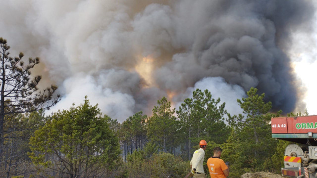 Eskişehir'deki orman yangınında son durum! Bakan Yumaklı: Yangın kontrol altına alındı - Resim: 0