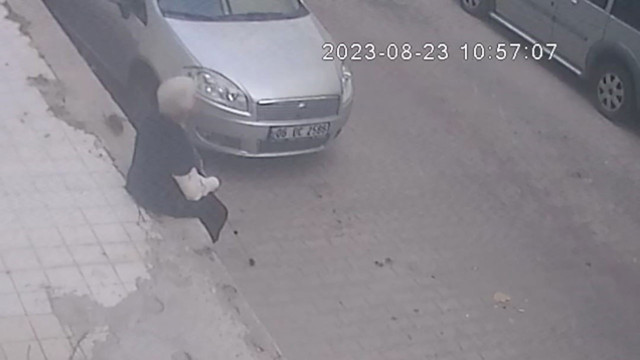 İzmir'de fare faciası! Yaşlı kadın oturduğu yerde fare tarafından ısırıldı - Resim: 0