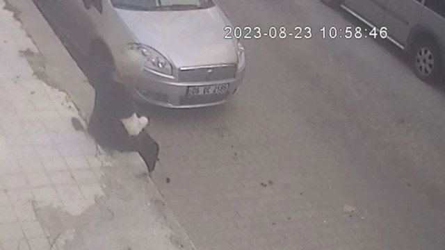 İzmir'de fare faciası! Yaşlı kadın oturduğu yerde fare tarafından ısırıldı - Resim: 1