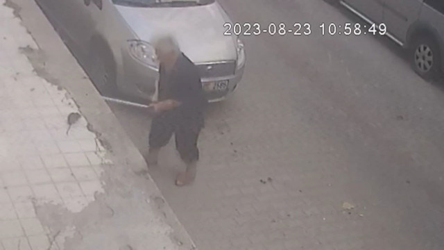 İzmir'de fare faciası! Yaşlı kadın oturduğu yerde fare tarafından ısırıldı - Resim: 2