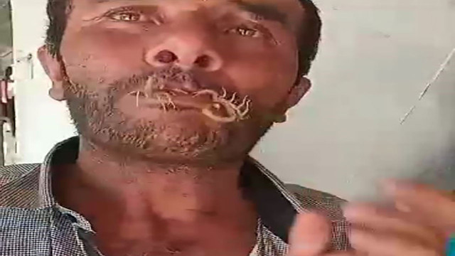 Görüntüler kan dondurdu! Akrepleri ağzına aldı, kendini sokturdu - Resim: 2