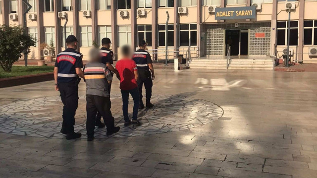 Aydın'da uyuşturucu taciri baba ve oğul yakalandı! Arazilerine 1 ton kenevir yetiştirdiler - Resim: 0