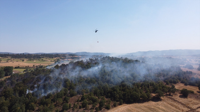 Bilecik'te orman yangını! Alevlere havadan ve karadan müdahale ediliyor - Resim: 0