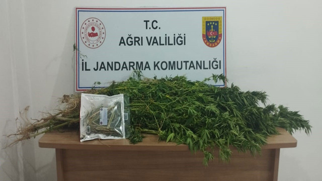 Ağrı'da Jandarma ekiplerinden büyük operasyon! Kaçakçılık ve uyuşturucu operasyonunda 143 gözaltı - Resim: 1
