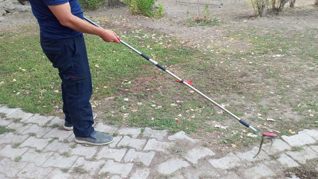 Ağrı'da eve giren yılan panik yarattı! Olaya itfaiye ekipleri müdahale etti - Resim: 2