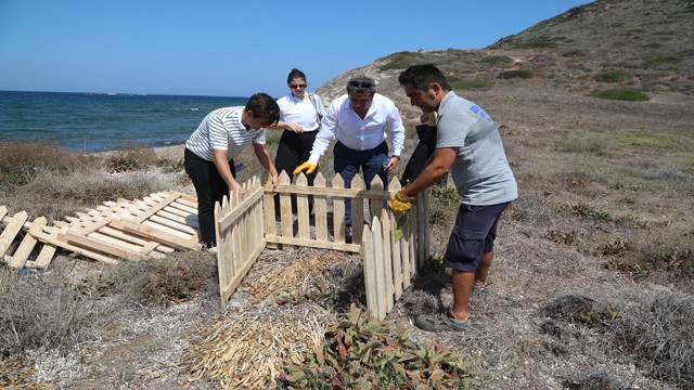 Bu çiçeği koparmanın cezası dudakları uçuklattı! 244 bin 315 liradan başlıyor - Resim: 2