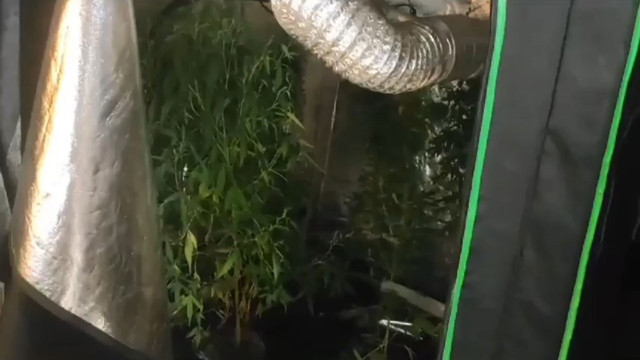 Tekirdağ'da uyuşturucu operasyonu düzenlenen ev uyuşturucu fabrikası çıktı1 - Resim: 1