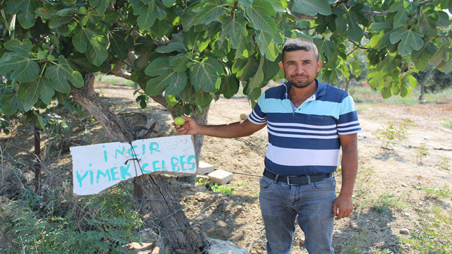Aydın'da çiftçinin bahçesine astığı şiveli not görenlerin yüzünü güldürdü! - Resim: 0