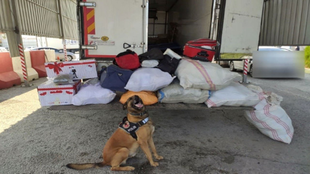 Osmaniye'de uyuşturucu operasyonu! Gizli bölmede 145 kilo 450 gram skunk ele geçirildi - Resim: 1