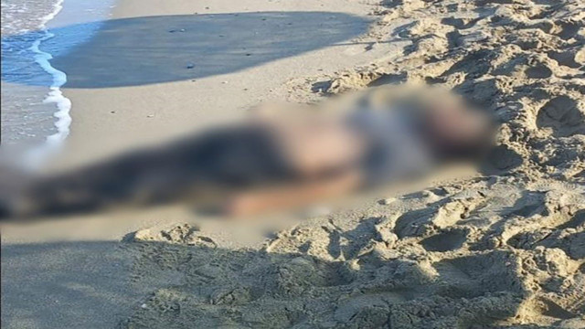 Aydın'da halk plajı çalışanları sahilde erkek cesedi buldu! - Resim: 0