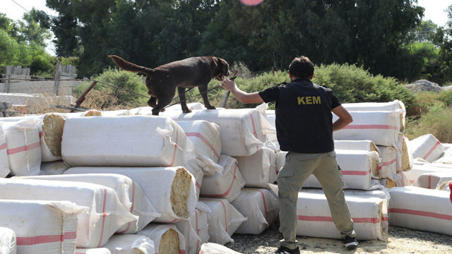 Uyuşturucuyu sakladıkları yer ağızları açık bıraktı! Saman balyalarının arasından 279 kilo uyuşturucu çıktı - Resim: 0