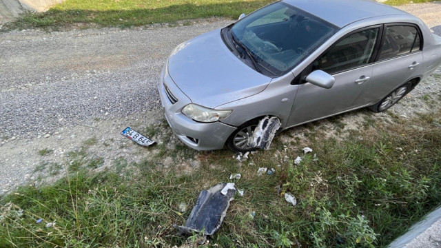 Sakarya'da sokak köpekleri park halindeki otomobili parçaladı! - Resim: 1