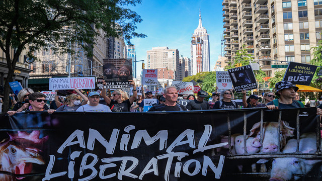 New York'ta vegan gruplardan protesto! Dünyaca ünlü markaları protesto ettiler - Resim: 0