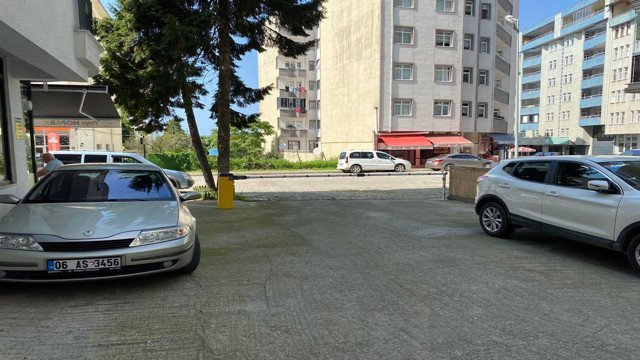 Artvin'de sokak köpeği faciası! Yere düşürüp saldırdı - Resim: 1