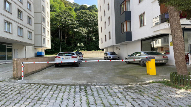 Artvin'de sokak köpeği faciası! Yere düşürüp saldırdı - Resim: 2