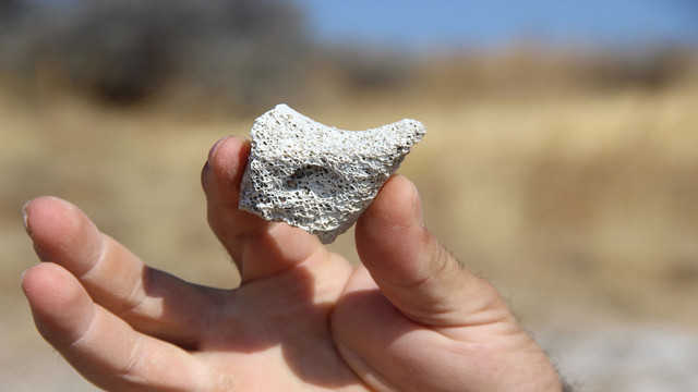 Arazisinde bulduğu şeyle herkesi heyecanlandırdı! Binlerce yıllık parçanın incelenmesini istiyor - Resim: 0