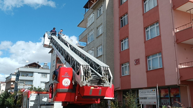 Kocaeli'de ekiplerin zor anları! Sinir krizi geçiren şahıs kelepçelenerek ambulansa taşındı - Resim: 0
