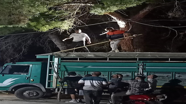 Okul bahçesinde ilginç dakikalar! Topu almak için çıktığı çam ağacında mahsur kaldı - Resim: 0