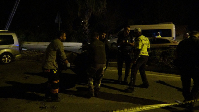 Denizli'de acı kaza! Ticari araç aydınlatma direğine ve ağaca çarptı: 2 ölü - Resim: 3