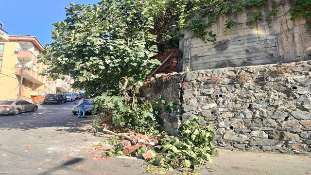 İncir sevdası canına mal oluyordu! 13 yaşındaki kız kırılan dalla birlikte tuğlalarına altında kaldı - Resim: 1