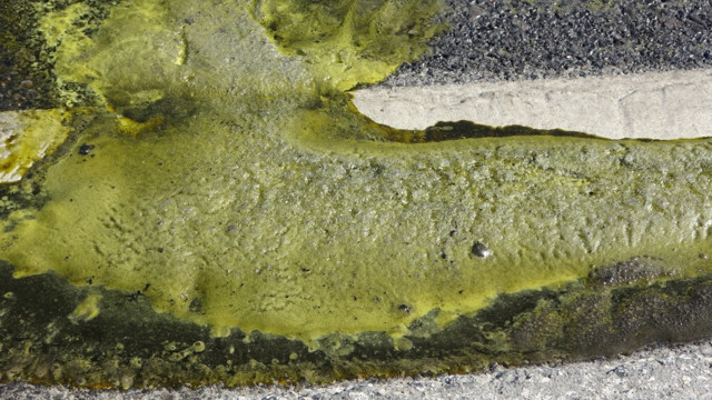 Pendik'te kimyasal madde alarmı! Yol trafiğe kapatıldı, polis peşlerine düştü - Resim: 1