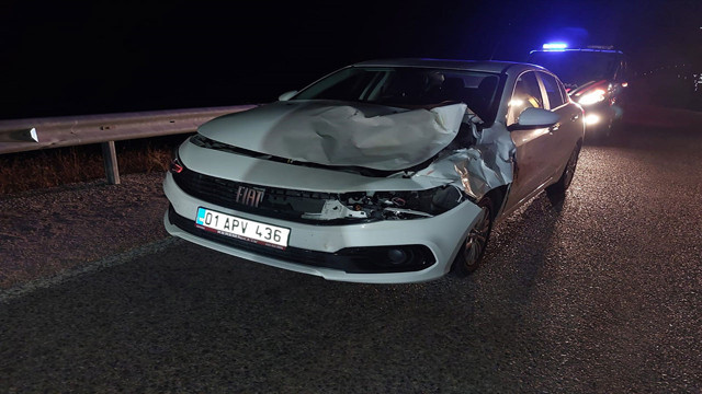 Trafiğe çıkan eşek faciaya yol açtı! Otomobil eşeğe çarptı - Resim: 0