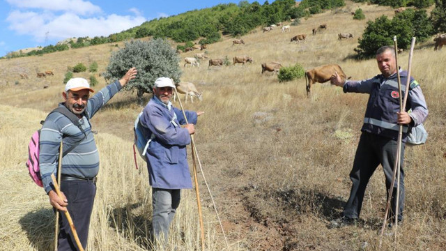 30 bin TL maaşa çoban bulunamıyor! Duruma sitem eden köylüler çözümü böyle buldu - Resim: 0