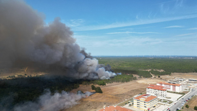 Tekirdağ'da orman yangını çıktı - Resim: 1
