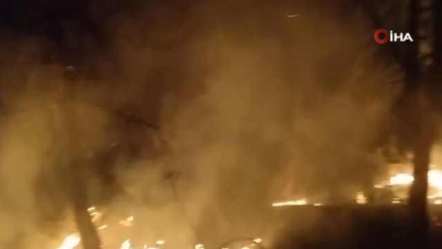 İstanbul'da orman yangını paniği! Ekipler bölgede - Resim: 0